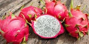نحوه ی کاشت بذر دارگون فروت - فوت و فن ه...